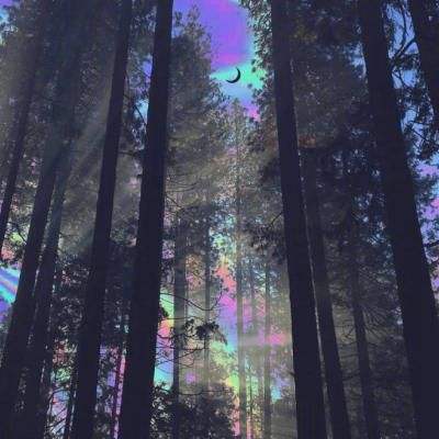 新天地棋牌手机app下载