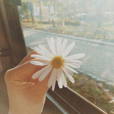 电子mg官方网站